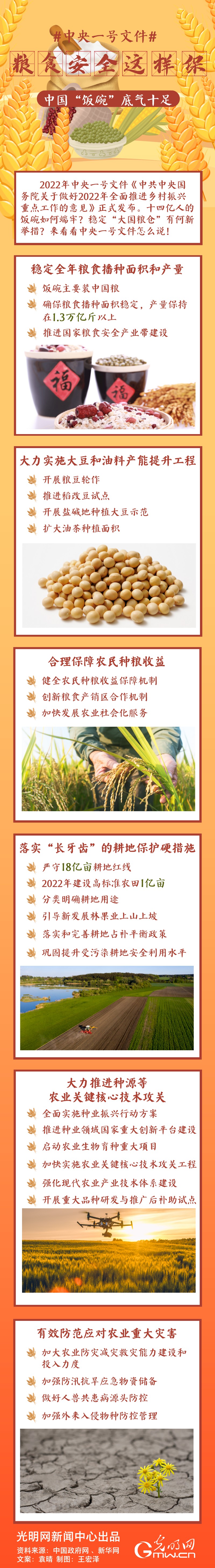 中央一號文件｜糧食安全這樣保，中國“飯碗”底氣十足