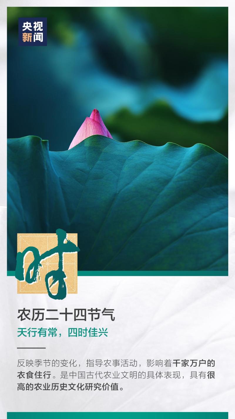 這也太浪漫了吧！