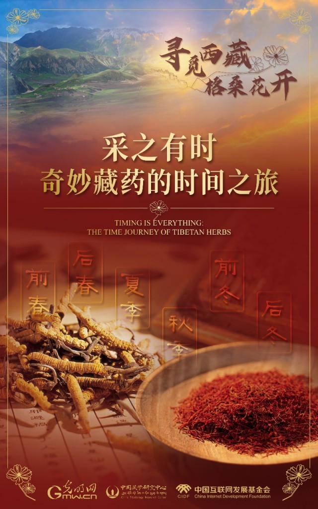 【尋覓西藏·格?；ㄩ_(kāi)】采之有時(shí)：奇妙藏藥的時(shí)間之旅