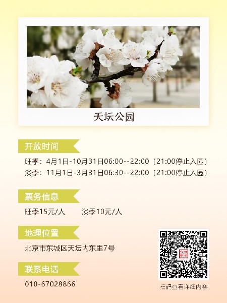 追花指南第六期！杏花雨 楊柳風(fēng) 北京最美的杏花在這里