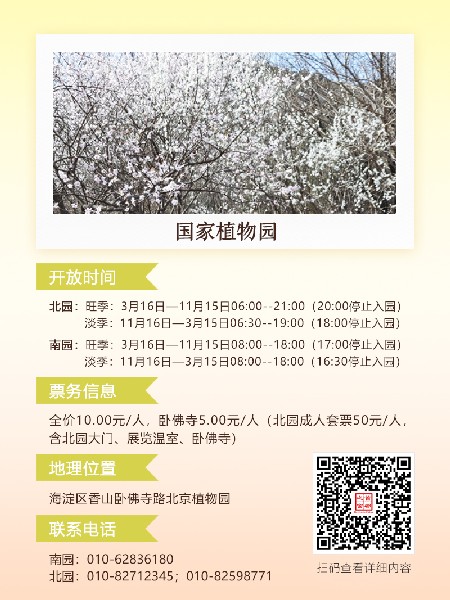 追花指南第六期！杏花雨 楊柳風(fēng) 北京最美的杏花在這里