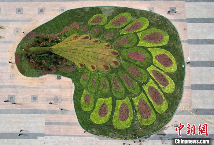 圖為航拍花壇。(無(wú)人機(jī)照片) 翟羽佳 攝