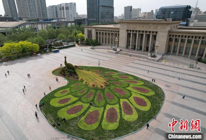 圖為航拍花壇。(無(wú)人機(jī)照片) 翟羽佳 攝