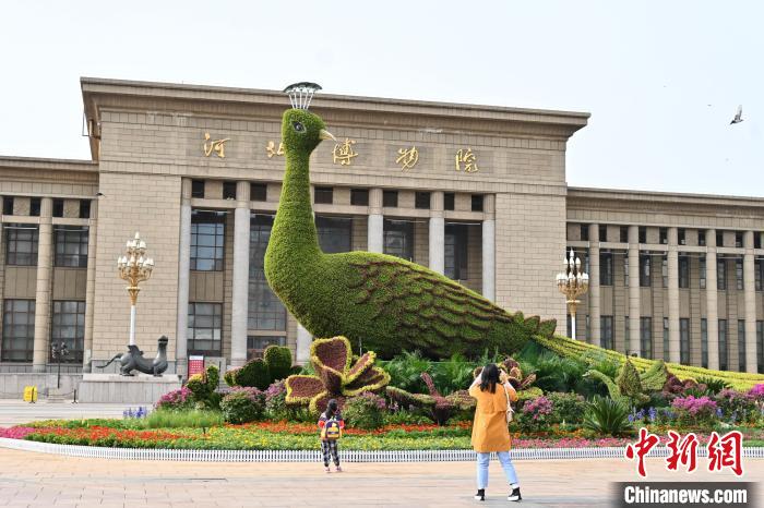 圖為游客在花壇前拍照打卡。　翟羽佳 攝