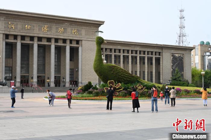 圖為游客在花壇前拍照打卡?！〉杂鸺?攝