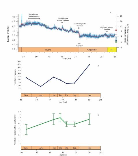 早始新世至早漸新世東亞嚙齒類屬級多樣性變化?！≈锌圃汗偶棺邓?供圖