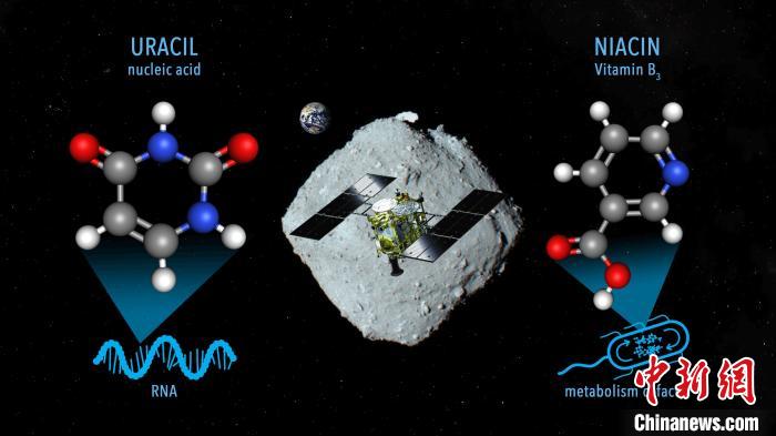 國(guó)際最新研究稱，近地小行星“龍宮”上發(fā)現(xiàn)尿嘧啶等核酸堿基