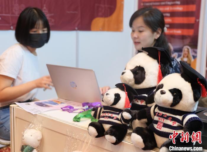 北京理工大學(xué)帶來可愛熊貓玩偶，頗為吸睛 陳悅 攝