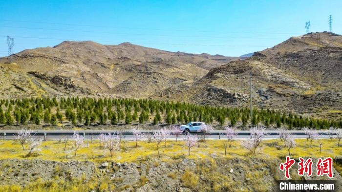 生態(tài)修復(fù)后逐漸變綠的賀蘭山石嘴山段?！∈焐绞形麄鞑抗﹫D