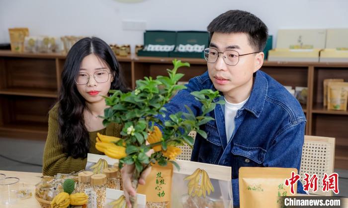 北山口村的佛手電商直播?！≈鬓k方供圖