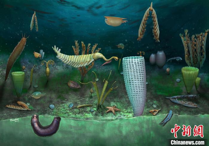 Castle Bank動(dòng)物群藝術(shù)復(fù)原圖(Yang Dinghua繪制)?！∈┢樟指瘛ぷ匀?供圖