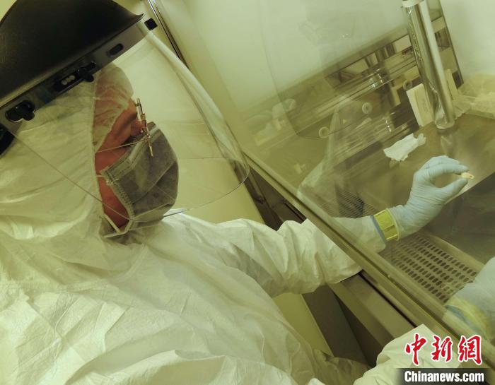 Elena Essel在凈室中處理鹿牙墜飾(圖片來自馬克斯·普朗克演化人類學研究所)。　施普林格·自然 供圖