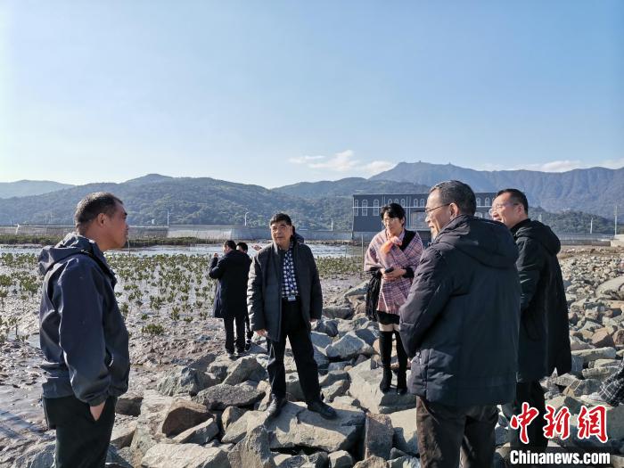 浙江海洋生態(tài)觀察：智慧大腦如何解鎖藍色發(fā)展密碼？