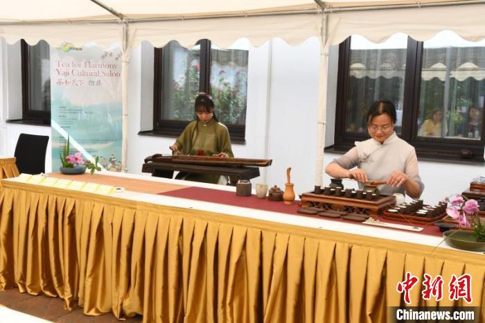 圖為余亞麗茶藝展示，王曉嬋古琴演奏 柏林中國(guó)文化中心供圖。