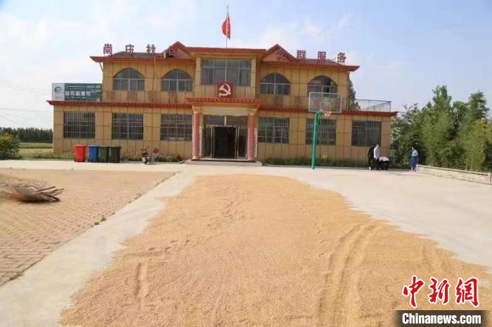 農(nóng)民在邳莊鎮(zhèn)尚莊村黨群服務(wù)中心大院里曬糧?！≠Z萌 攝