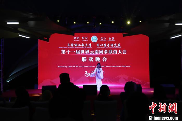 圖為第十一屆世界云南同鄉(xiāng)聯(lián)誼大會舉辦聯(lián)歡晚會。　崔永江 攝