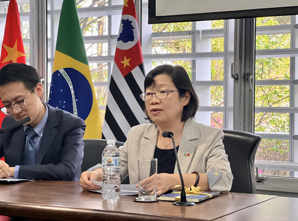 中國駐圣保羅總領(lǐng)事陳佩潔致辭。中國駐圣保羅總領(lǐng)館供圖