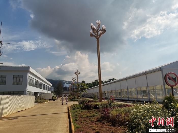 圖為園區(qū)生活區(qū)。 受訪者供圖