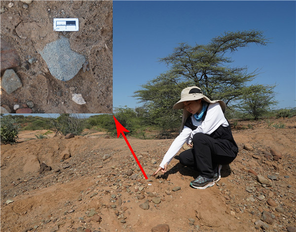 地層中的勒瓦婁哇石片。中肯聯(lián)合考古隊供圖