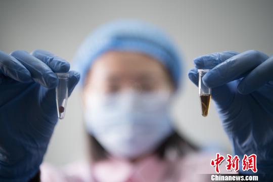 資料圖。韋亮 攝