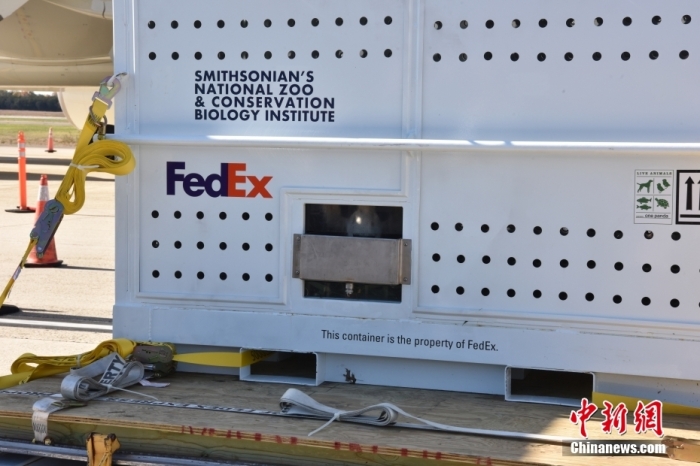 當(dāng)?shù)貢r(shí)間11月8日，美國華盛頓史密森學(xué)會國家動物園的大熊貓“美香”“添添”和它們的幼崽“小奇跡”乘坐的專機(jī)從華盛頓杜勒斯國際機(jī)場起飛前往中國成都。圖為裝有大熊貓的特制“旅行箱”。<a target='_blank' href='/'><p  align=