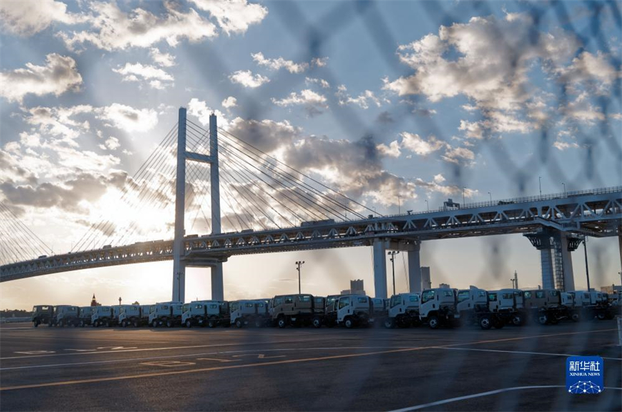 這是11月14日在日本橫濱拍攝的進(jìn)出口汽車(chē)集散場(chǎng)地。新華社記者 張笑宇 攝
