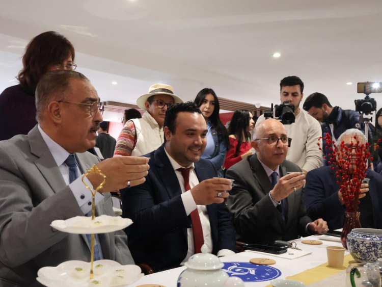 觀眾興致勃勃地體驗(yàn)茶藝。陳芷珊攝