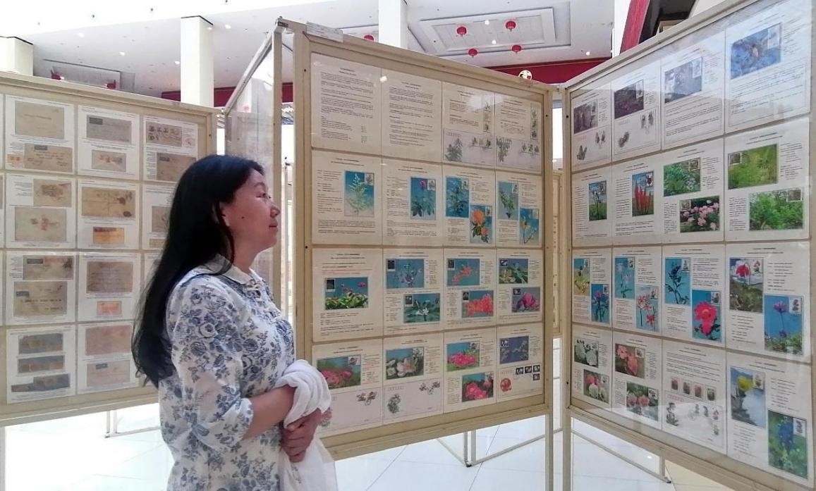 藥用植物極限片展覽場景。第七屆阿聯(lián)酋集郵展主辦方供圖