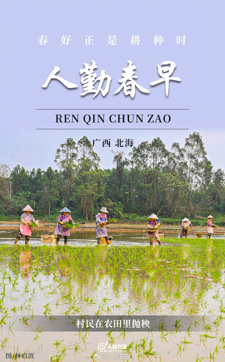 生機(jī)盎然！用課本封面打開春耕畫卷