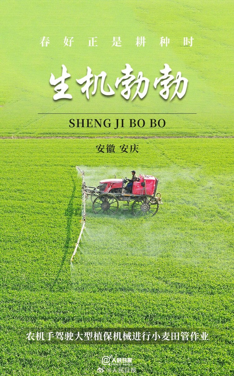 生機(jī)盎然！用課本封面打開春耕畫卷