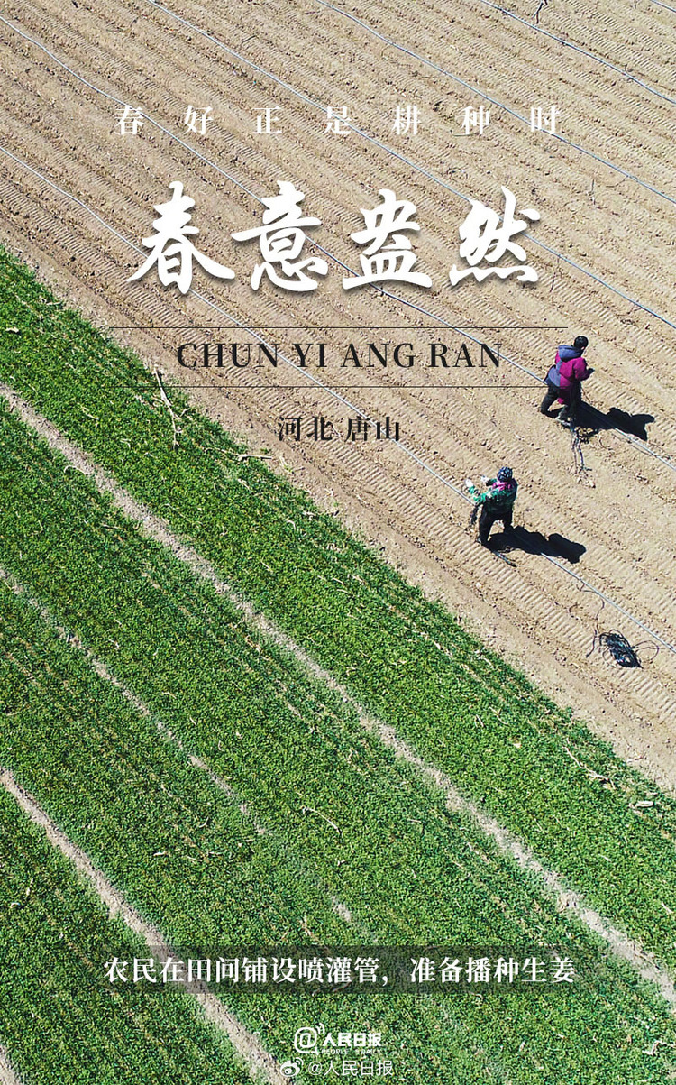 生機(jī)盎然！用課本封面打開春耕畫卷