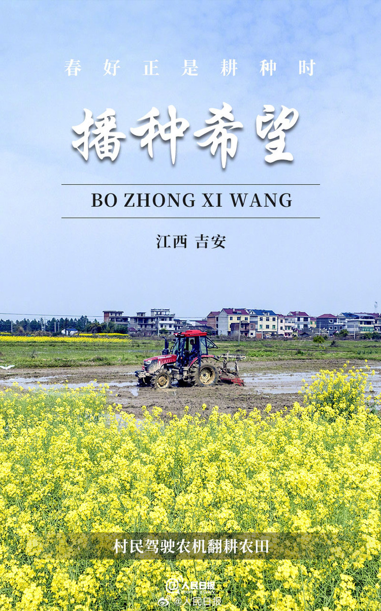 生機(jī)盎然！用課本封面打開春耕畫卷