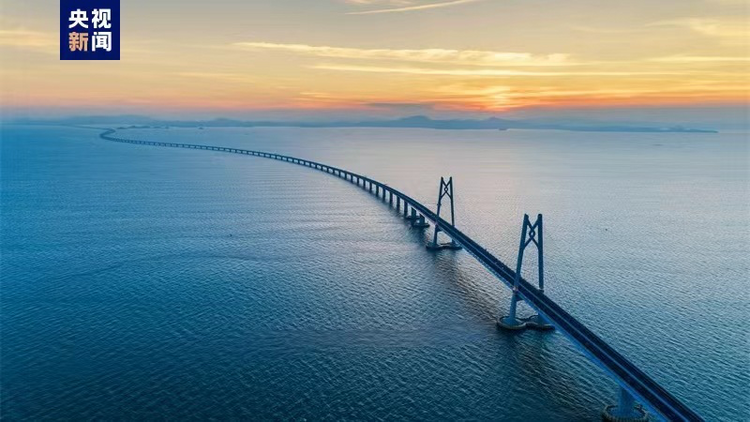 灣區(qū)速評(píng)丨多項(xiàng)數(shù)據(jù)破紀(jì)錄 人才何以在灣區(qū)成潮？