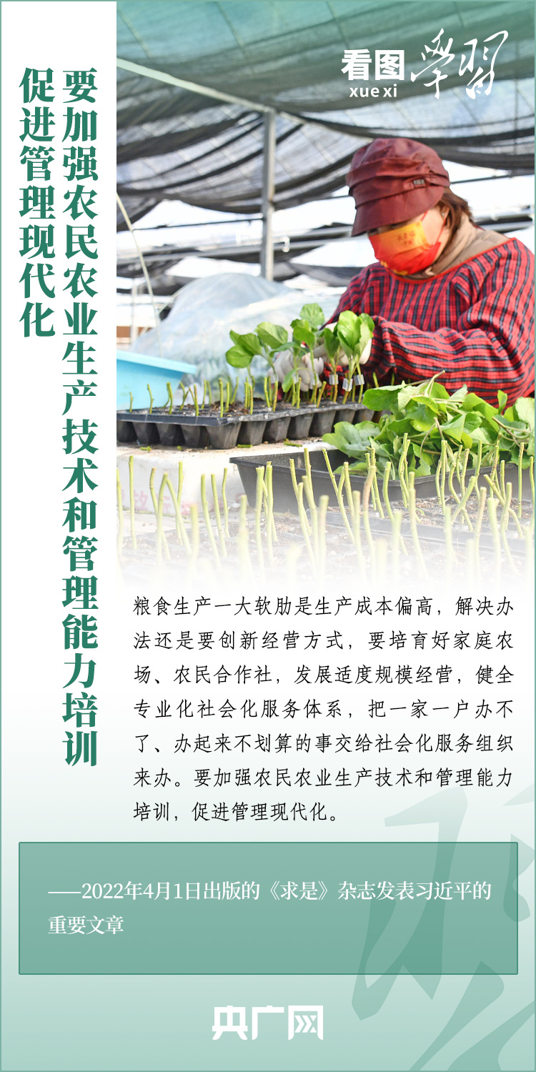 看圖學(xué)習(xí)丨推廣良田、良種、良法、良機(jī) 給農(nóng)業(yè)現(xiàn)代化插上科技的翅膀