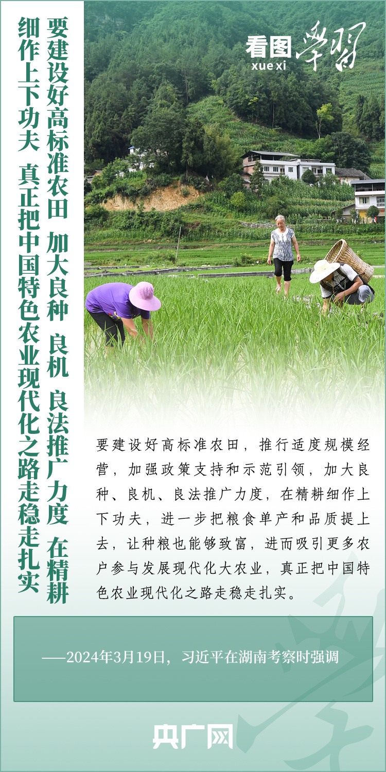 看圖學(xué)習(xí)丨推廣良田、良種、良法、良機(jī) 給農(nóng)業(yè)現(xiàn)代化插上科技的翅膀