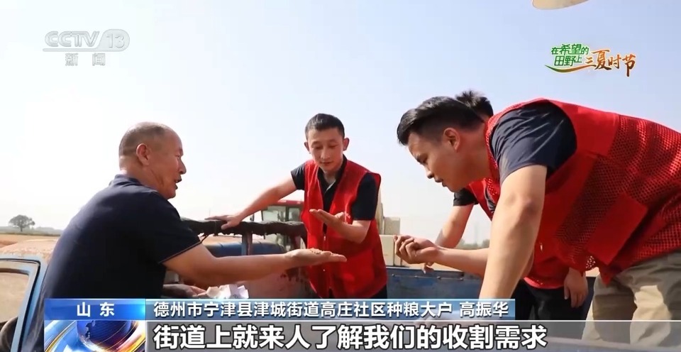 “三夏”生產(chǎn)思維導(dǎo)圖安排上了！還有政府大院等你來(lái)“曬”