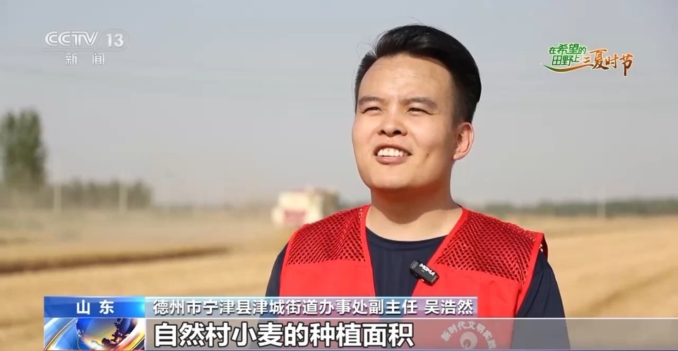 “三夏”生產(chǎn)思維導(dǎo)圖安排上了！還有政府大院等你來(lái)“曬”