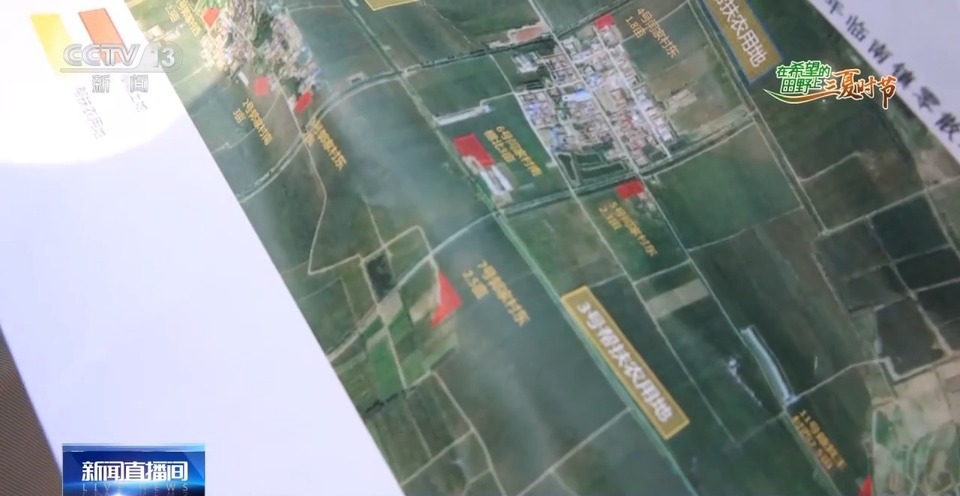 “三夏”生產(chǎn)思維導(dǎo)圖安排上了！還有政府大院等你來(lái)“曬”