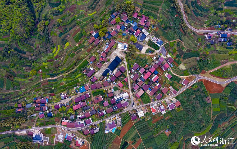 4月1日，紹興市新昌縣東茗鄉(xiāng)下巖貝村風(fēng)光秀麗，茶園旖旎。人民網(wǎng) 章勇濤攝