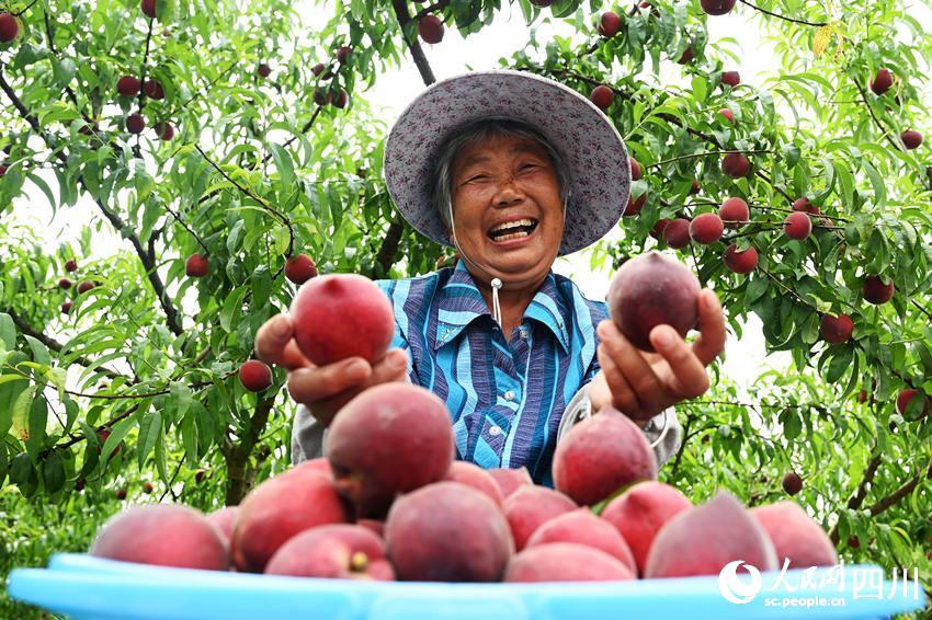 豐收的喜悅。蘭自濤攝