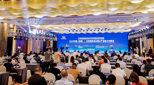 對(duì)接會(huì)現(xiàn)場。湖南省商務(wù)廳供圖