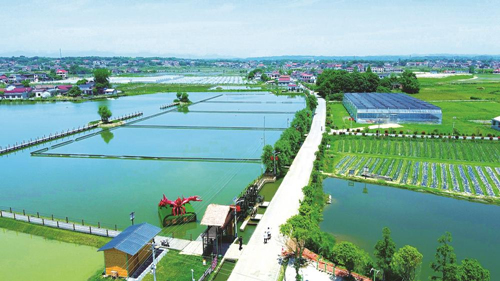 近年來，大成橋鎮(zhèn)堅(jiān)持加強(qiáng)黨對(duì)鄉(xiāng)村治理的集中統(tǒng)一領(lǐng)導(dǎo)，該鎮(zhèn)鄉(xiāng)村治理模式入選第二批全國(guó)鄉(xiāng)村治理典型案例。圖為美麗的大成橋鎮(zhèn)。（資料圖片）