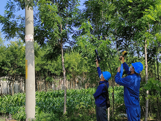工作人員進(jìn)行紅外測(cè)溫及超聲波局部放電檢測(cè)。 王亮攝