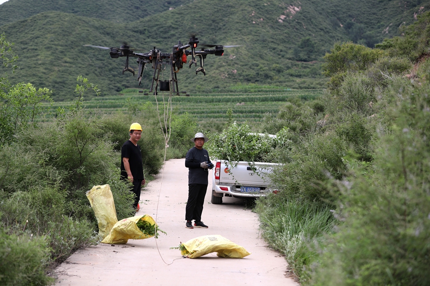 在石家莊市井陘縣吳家窯鄉(xiāng)長(zhǎng)峪村荒山造林現(xiàn)場(chǎng)，一名無(wú)人機(jī)手操控?zé)o人機(jī)運(yùn)輸樹苗。王保龍攝