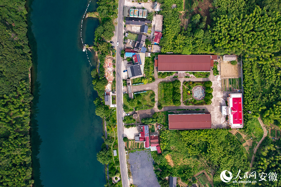 儲家灘民宿區(qū)。人民網(wǎng)記者 苗子健攝