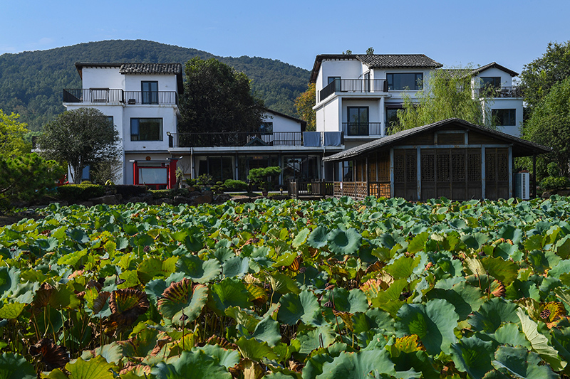 雨悅山房負(fù)責(zé)人原來在馬達(dá)加斯加打理酒店，之所以“從馬達(dá)加斯加到肥東”，源于對家鄉(xiāng)民宿前景看好。吳芳攝
