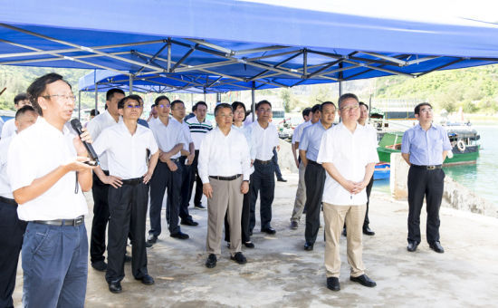2019年6月21日上午，省長(zhǎng)沈曉明率省政府班子成員在三亞鐵爐港調(diào)研項(xiàng)目規(guī)劃建設(shè)情況。海南日?qǐng)?bào)記者 宋國(guó)強(qiáng) 攝
