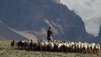 你看了嗎？藏語版《日光之城》“含金量”還在上升！