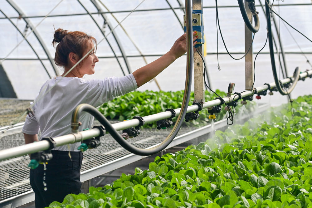 牢牢守住不發(fā)生規(guī)模性返貧致貧底線(xiàn)——西部脫貧地區(qū)“5年過(guò)渡期”一線(xiàn)觀(guān)察