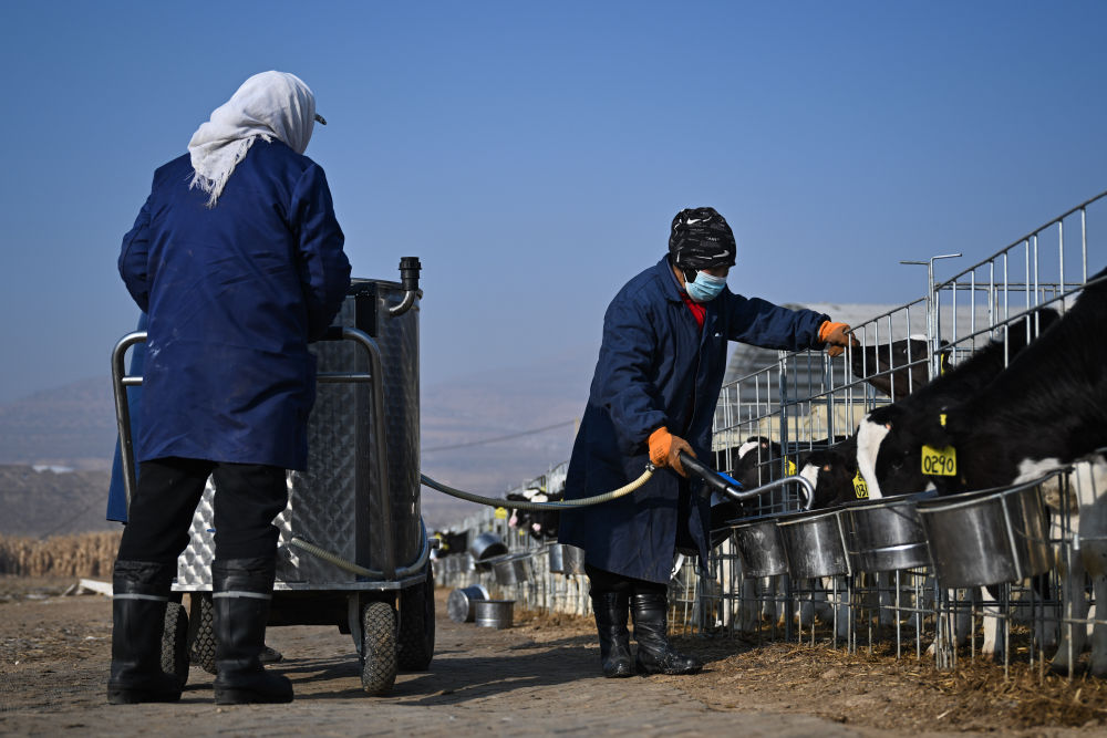 牢牢守住不發(fā)生規(guī)模性返貧致貧底線(xiàn)——西部脫貧地區(qū)“5年過(guò)渡期”一線(xiàn)觀(guān)察
